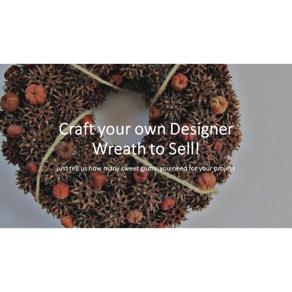 100 Sweet Gum Tree Balls Spiked Craft Decor Monkey Balls Spikey Brown Burrs - Picture 2 of 8